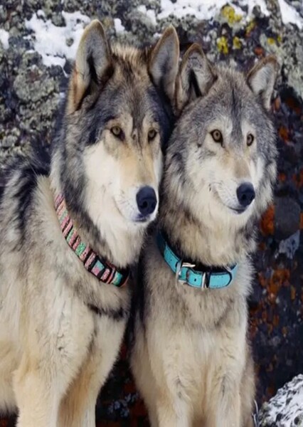 Vicky and Bella