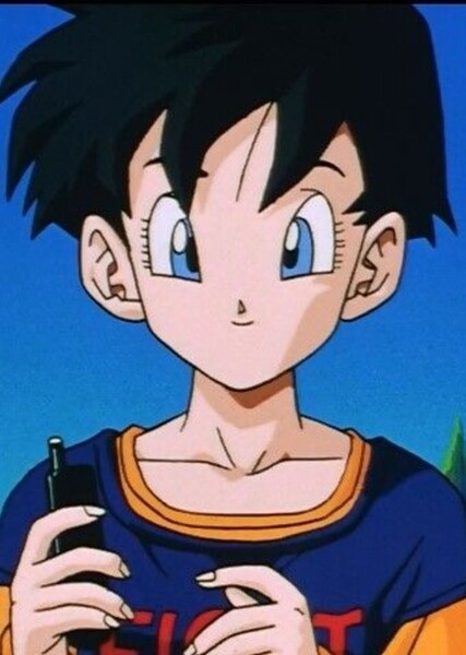 Videl photo