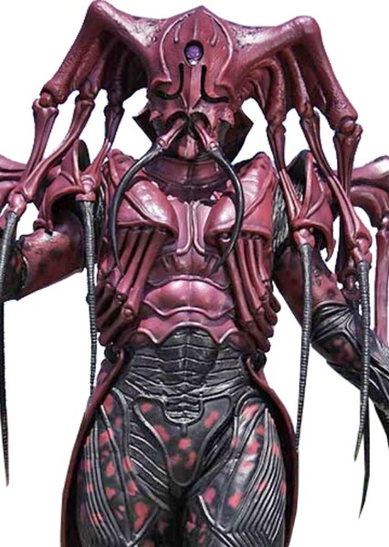 Viella Worm
