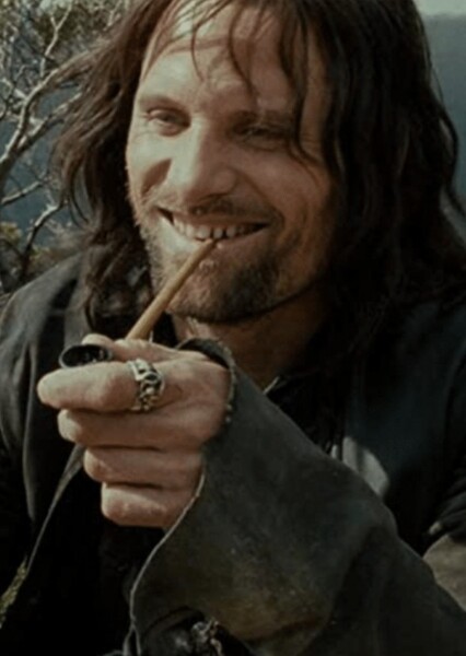 Viggo Mortensen photo