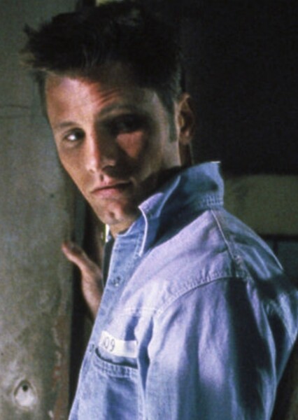 Viggo Mortensen photo