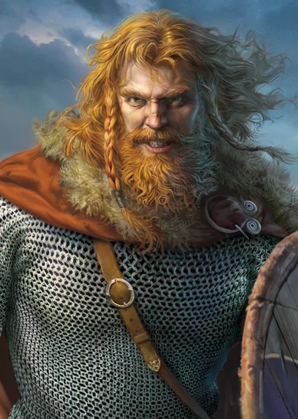 Vikings photo