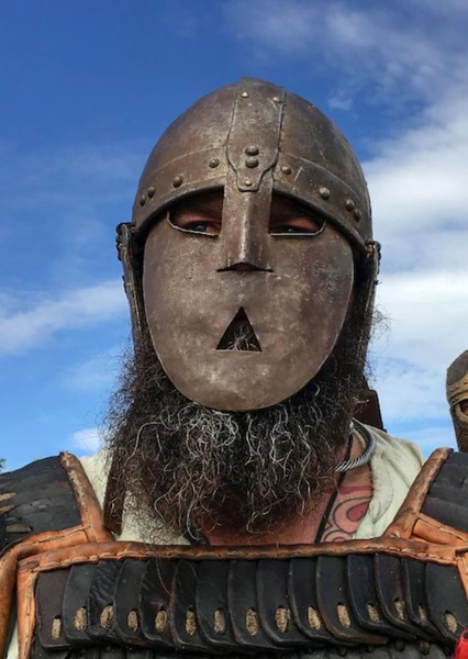 Vikings photo