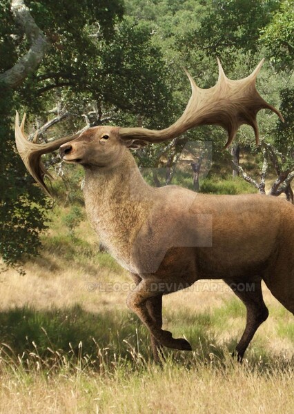 Villafranchian Elk
