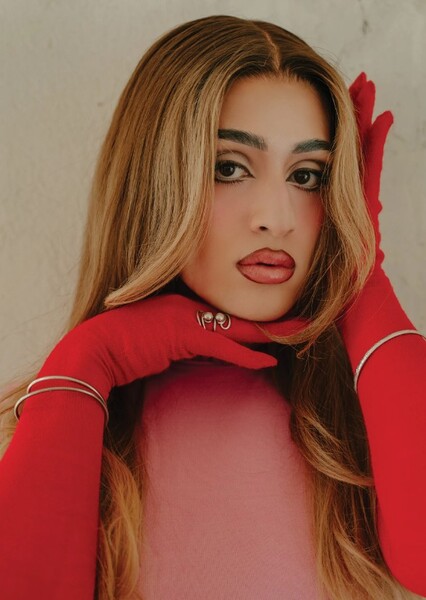 Villano Antillano photo
