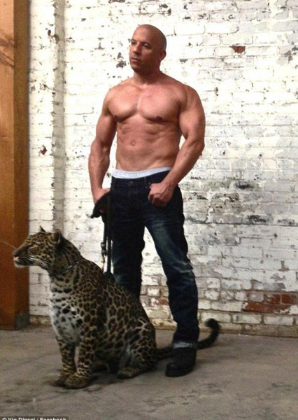 Vin Diesel photo