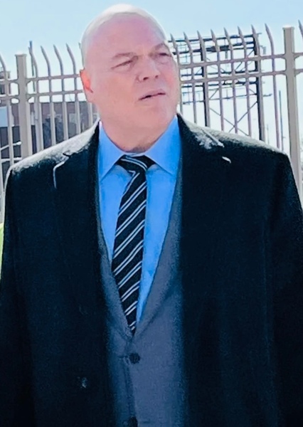 Vincent D'Onofrio photo