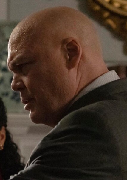 Vincent D'Onofrio photo