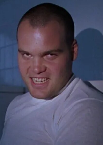Vincent D'Onofrio photo