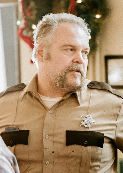 Vincent D'Onofrio photo