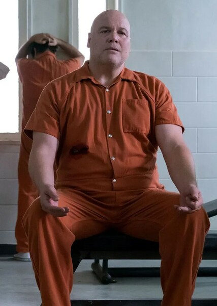 Vincent D'Onofrio photo