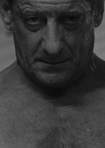 Vincent Lindon photo