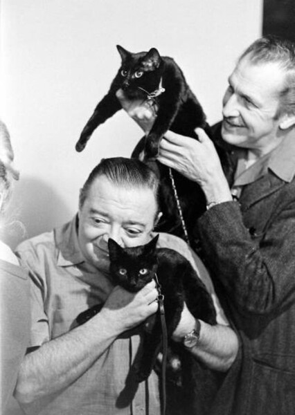 Vincent Price and Peter Lorre photo