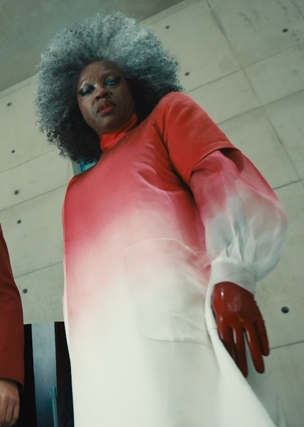 Viola Davis photo