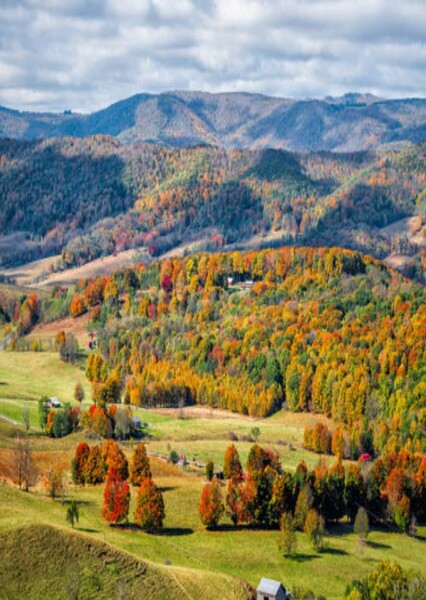 Virginia (state)
