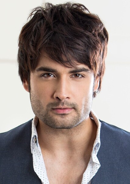 Vivian Dsena photo