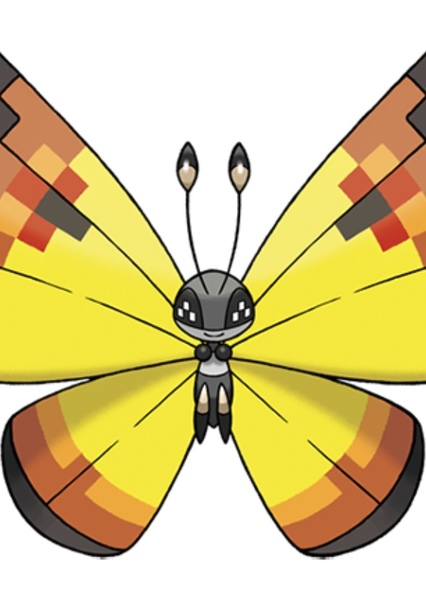 Vivillon photo