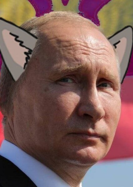 Vladimir Putin photo