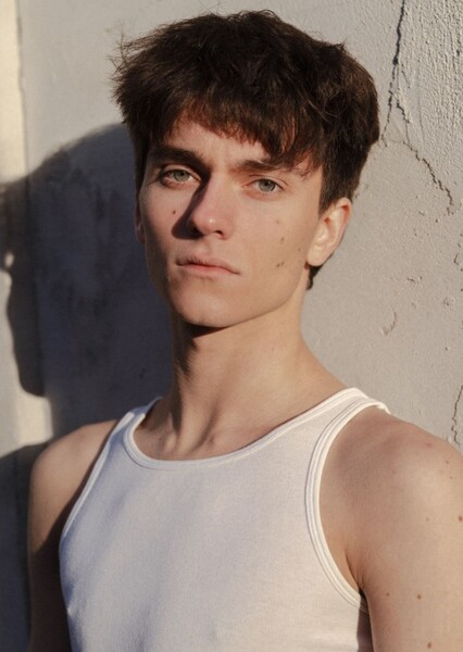 Voicu Dumitraș