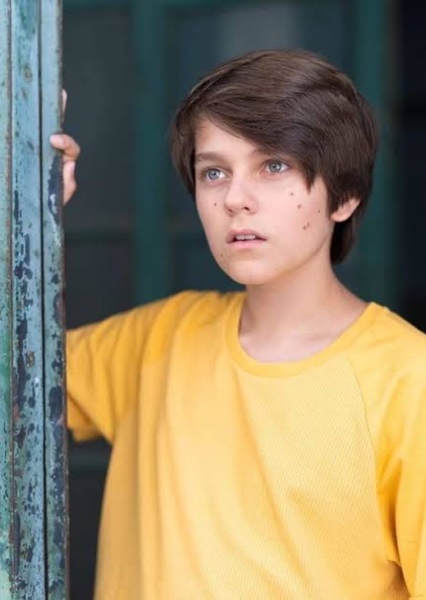 Voicu Dumitraș photo