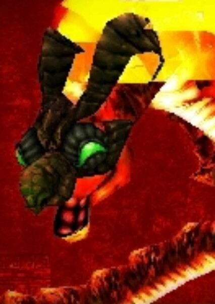 Volvagia photo
