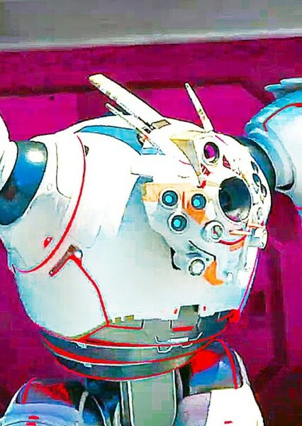 Vontra (The Wild Robot) photo