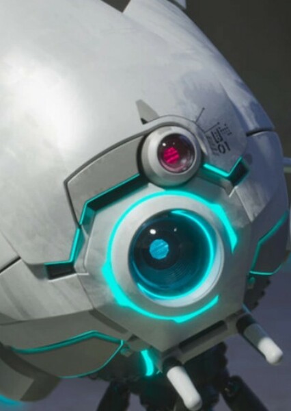 Vontra (The Wild Robot) photo