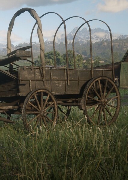 Wagons photo