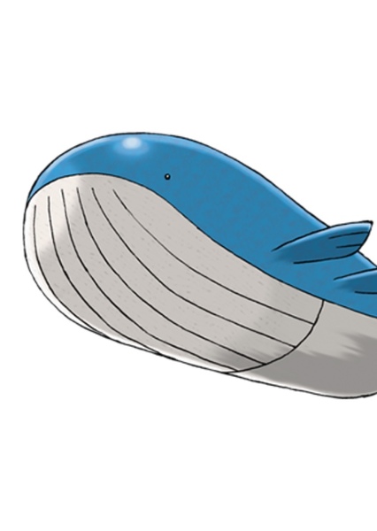 Wailord