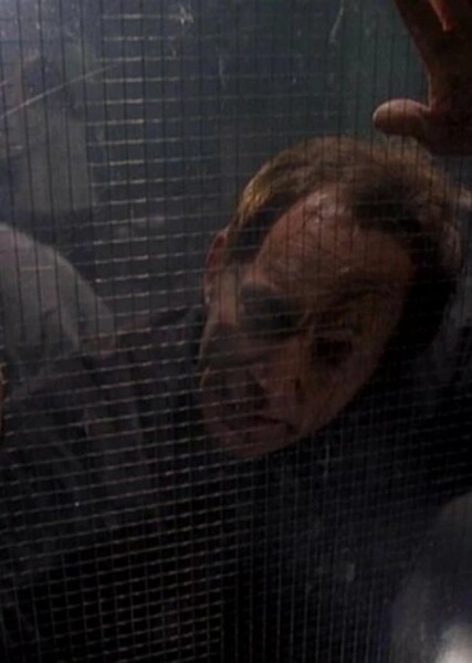 Walkabout (Millennium episode)