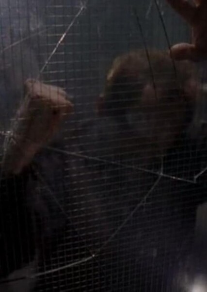 Walkabout (Millennium episode) photo