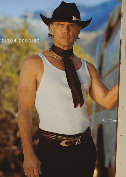 Walton Goggins photo