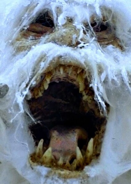 Wampa