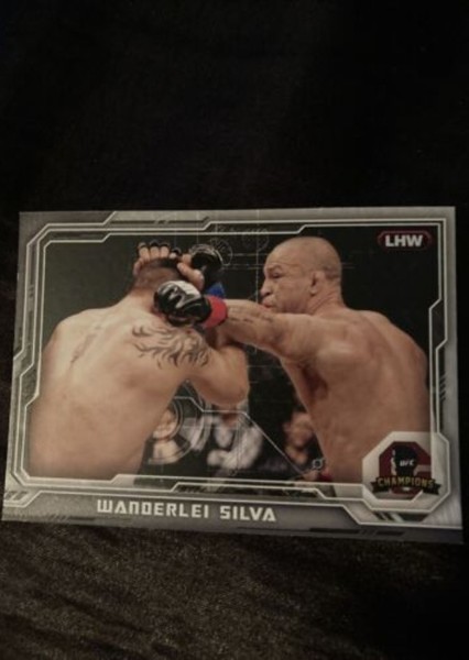 Wanderlei Silva