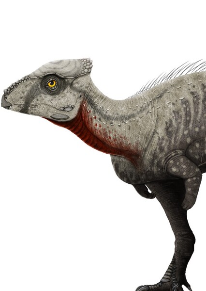 Wannanosaurus