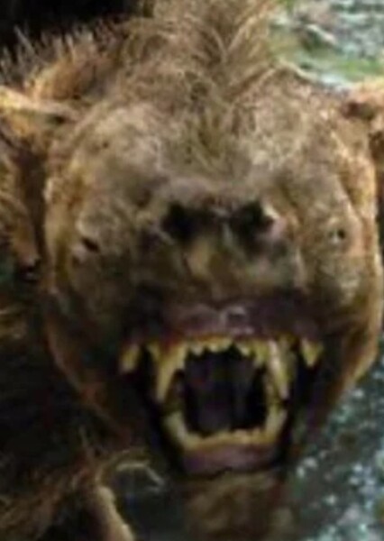 Warg photo