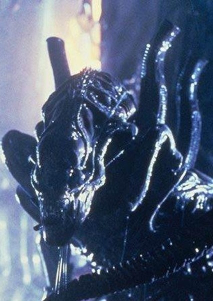 Warrior Xenomorph photo