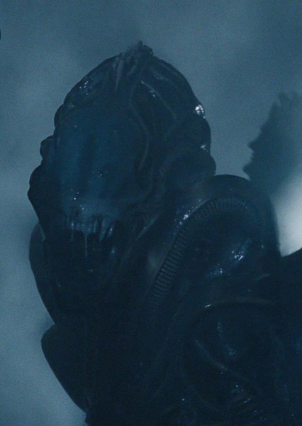 Warrior Xenomorph photo