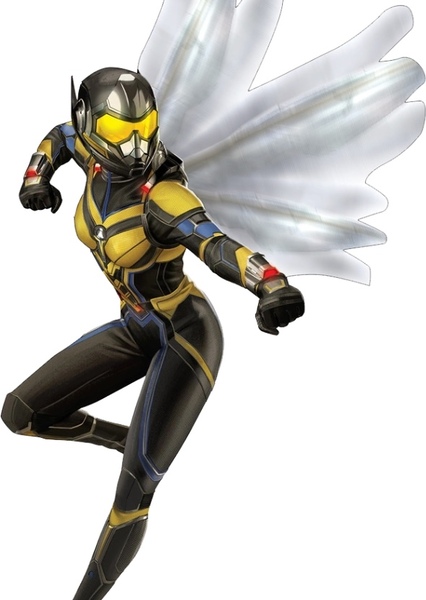 Wasp photo