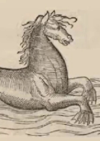 Water Horse photo