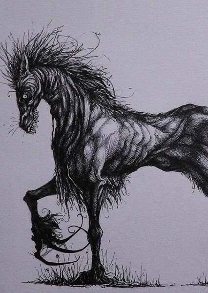 Water Horse photo