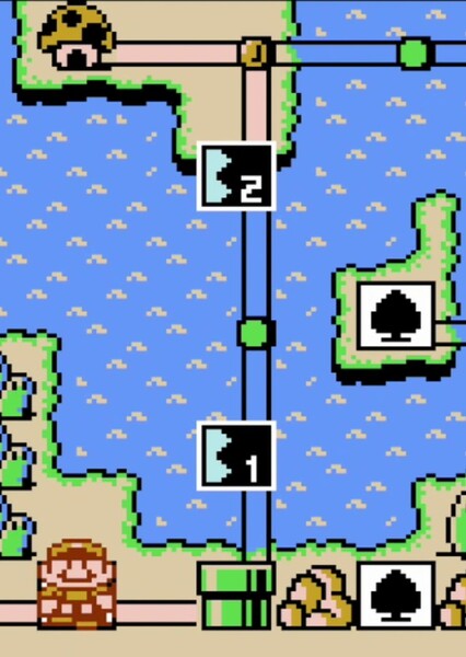 The Princess and the Koopa