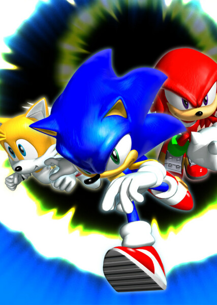 We Can: Theme of Team Sonic photo