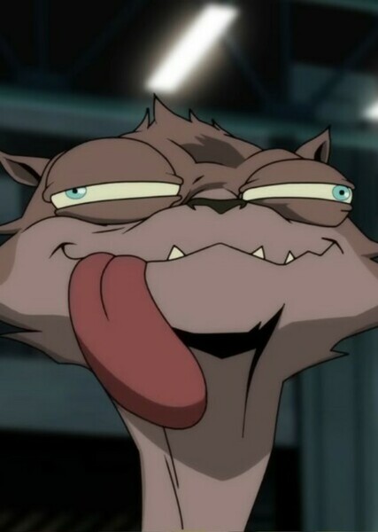 Weasel (DC Extended Universe)