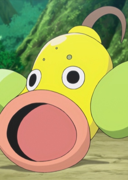 Weepinbell photo
