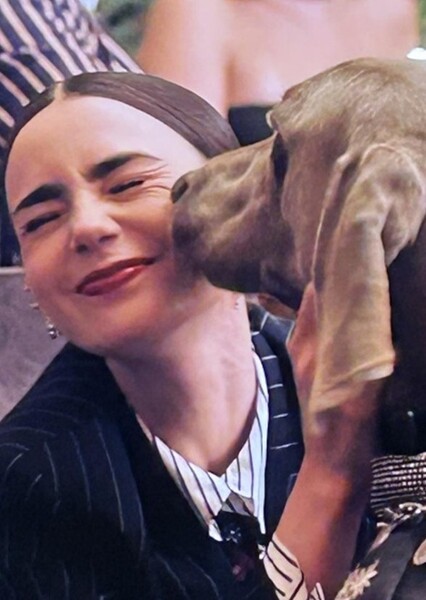 Weimaraner licking Emily Cooper