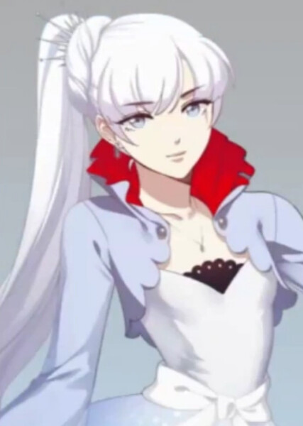 Weiss Schnee photo