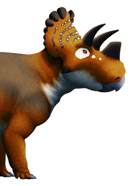 Wendiceratops