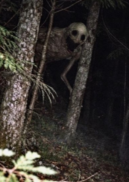 Wendigo photo