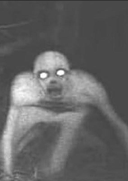 Wendigo photo